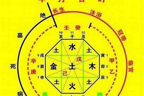 五行忌水|八字五行喜忌查询